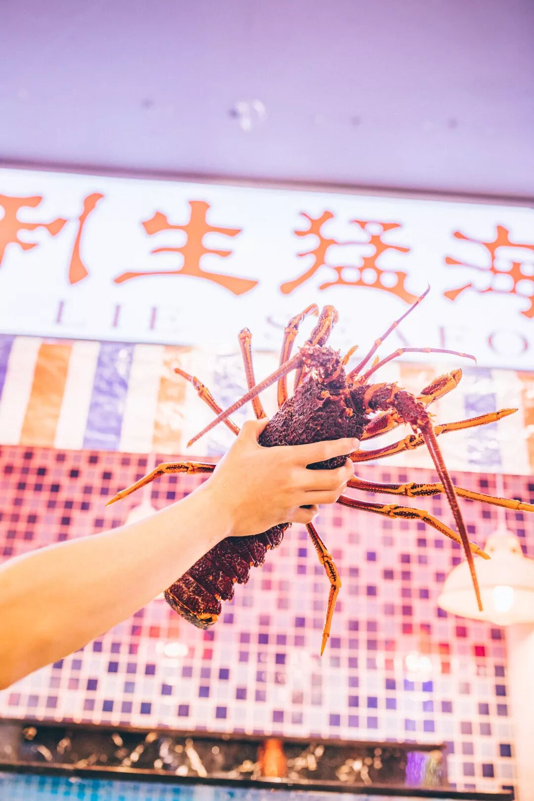 变身“小香港”！来了就好运！重金精心打造正宗港式打边炉！ - 13