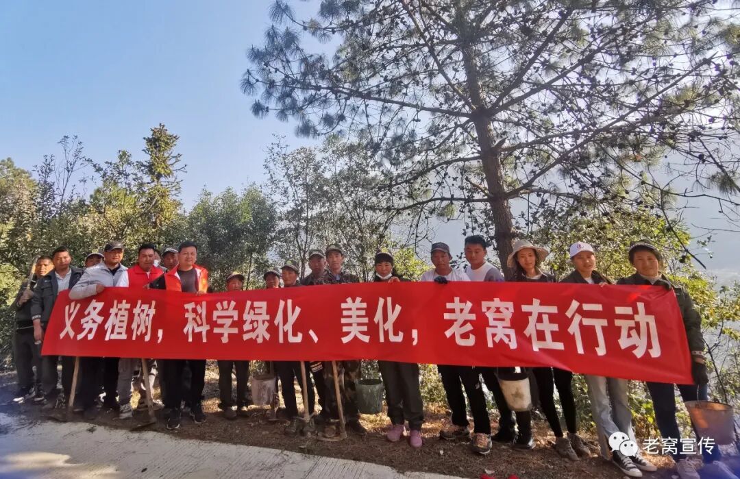 草长莺飞三月天 植树添绿正当时 老窝镇开展义务植树活动 通知公告 泸水市老窝镇人民政府 政府信息公开 泸水市人民政府