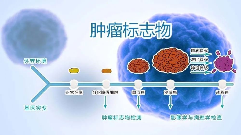 肿瘤标志物偏高意味着啥?是长肿瘤了?-微信头条网 肿瘤标志物偏高意味着啥?是长肿瘤了?