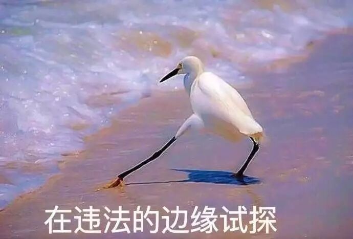 连云港水产加工商行_2017 年最热表情包盘点,现在保存还来得及!