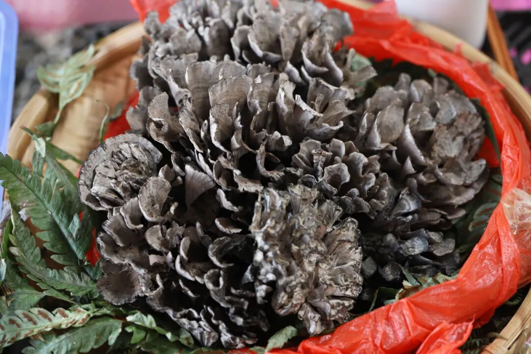 一部手机游云南