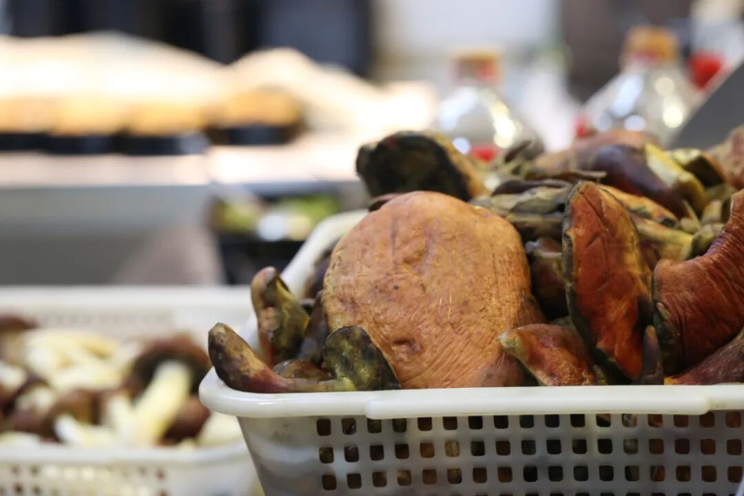 一部手机游云南