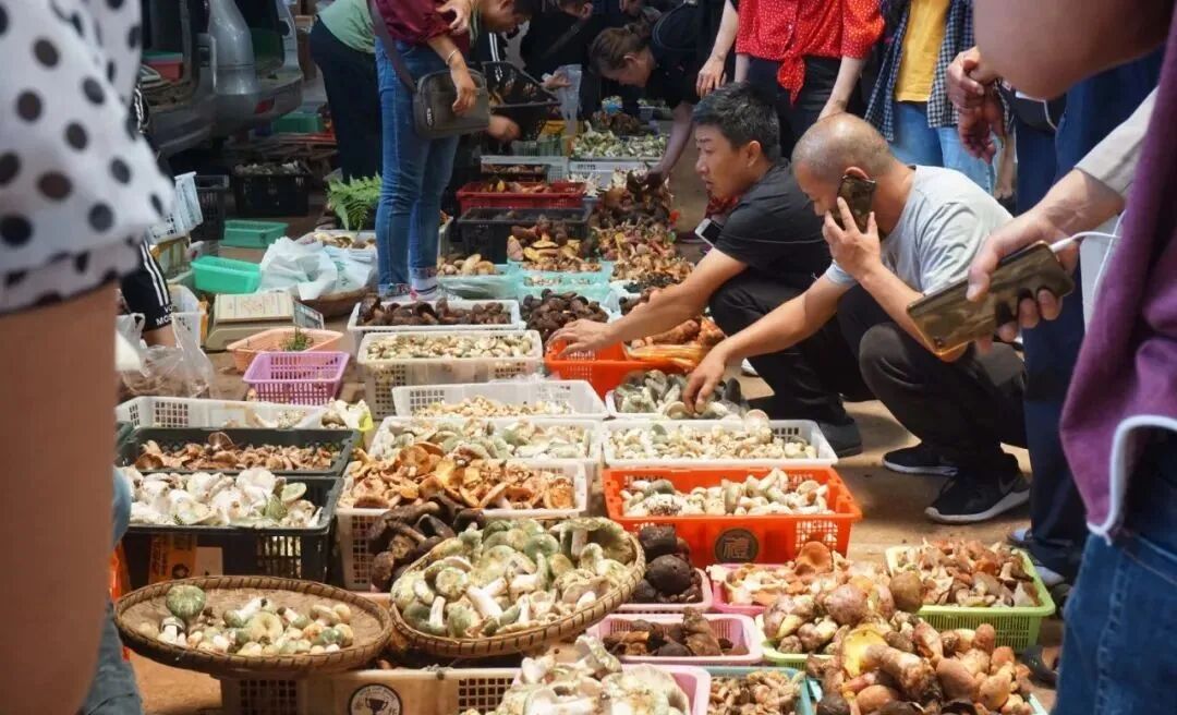 一部手机游云南