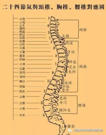 对应24节脊柱,从冬至对应第五腰椎开始,从下往上,大寒对应第三腰椎,可