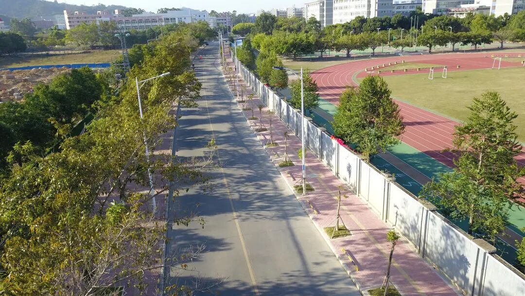 惠阳区人大代表建议办理系列报道师生出行更安全三和街道文化路学校