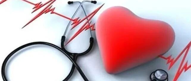 抗生素可以改变微生物组让老年动物动脉变年轻？