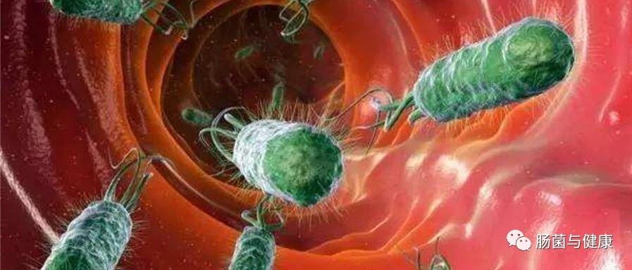 肠癌有多可怕！它与微生物到底有什么关系！
