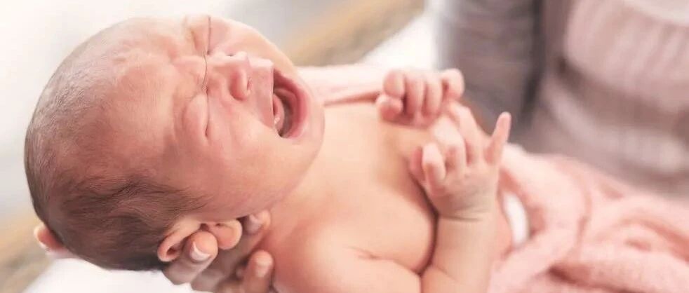 刚出生的孩子，究竟是有菌还是无菌？新生儿需要哪些微生物？