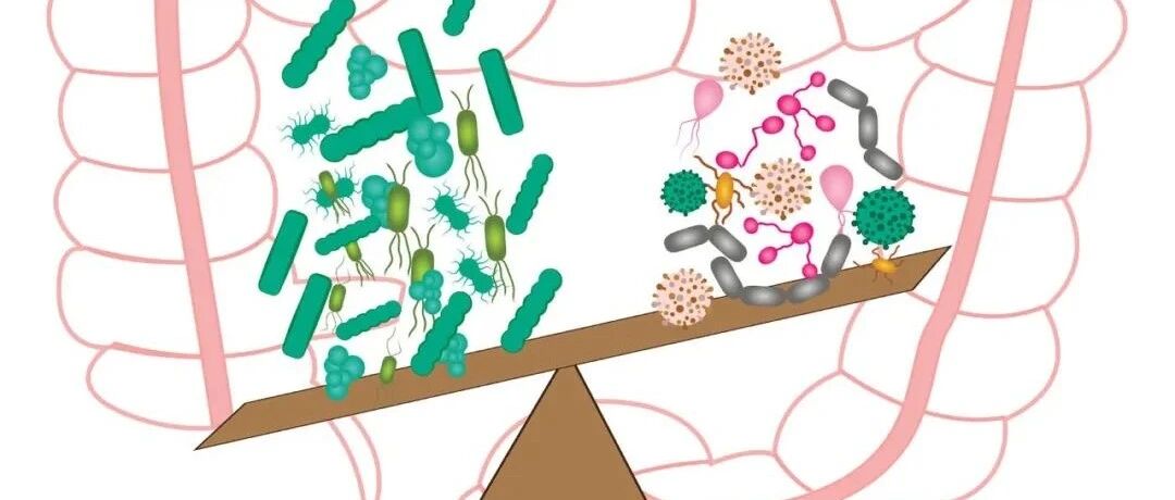 神奇的“便便”：里面的这种好物能否为肠炎患者带来福音？