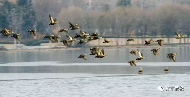 这“一家子”从恋爱结婚到生子都被拍下来啦