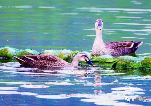 这“一家子”从恋爱结婚到生子都被拍下来啦