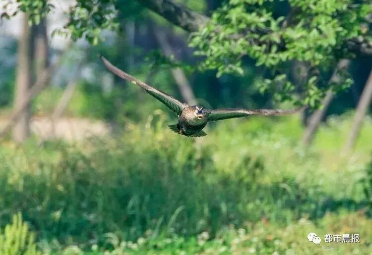 这“一家子”从恋爱结婚到生子都被拍下来啦