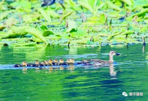 这“一家子”从恋爱结婚到生子都被拍下来啦