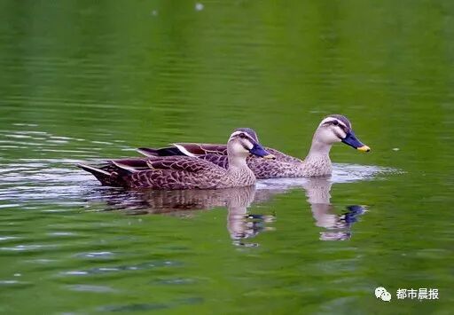 这“一家子”从恋爱结婚到生子都被拍下来啦