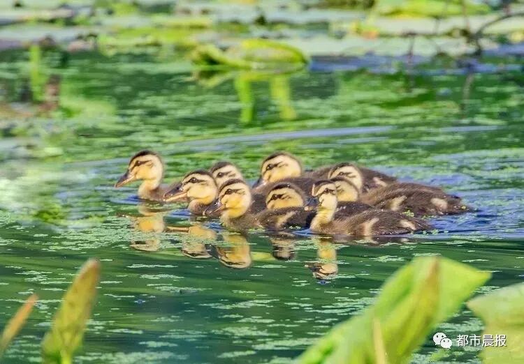这“一家子”从恋爱结婚到生子都被拍下来啦