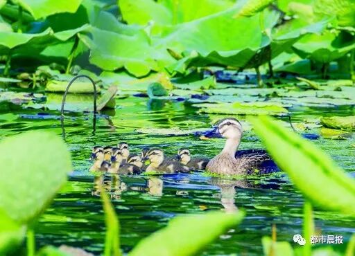 这“一家子”从恋爱结婚到生子都被拍下来啦