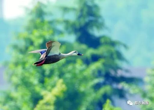 这“一家子”从恋爱结婚到生子都被拍下来啦