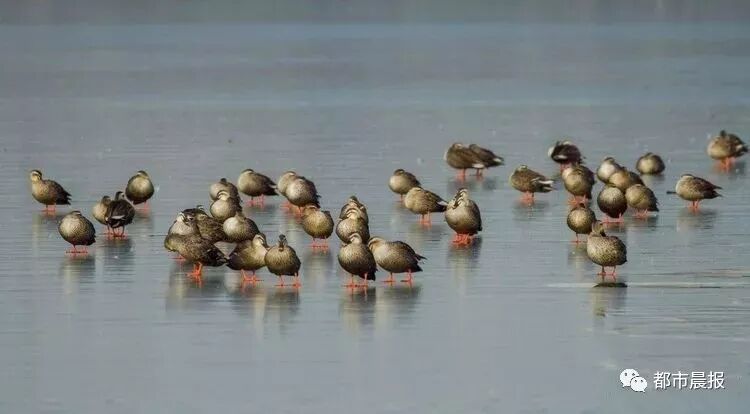 这“一家子”从恋爱结婚到生子都被拍下来啦
