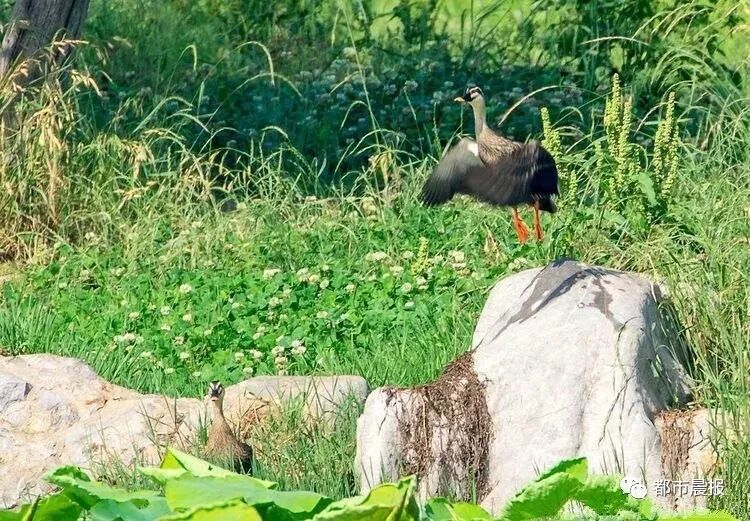 这“一家子”从恋爱结婚到生子都被拍下来啦