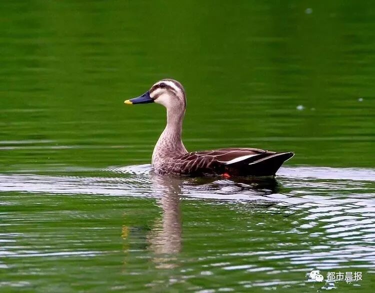 这“一家子”从恋爱结婚到生子都被拍下来啦