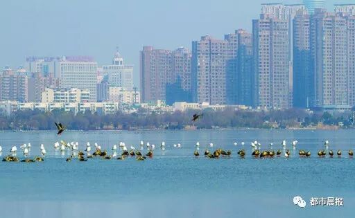 这“一家子”从恋爱结婚到生子都被拍下来啦