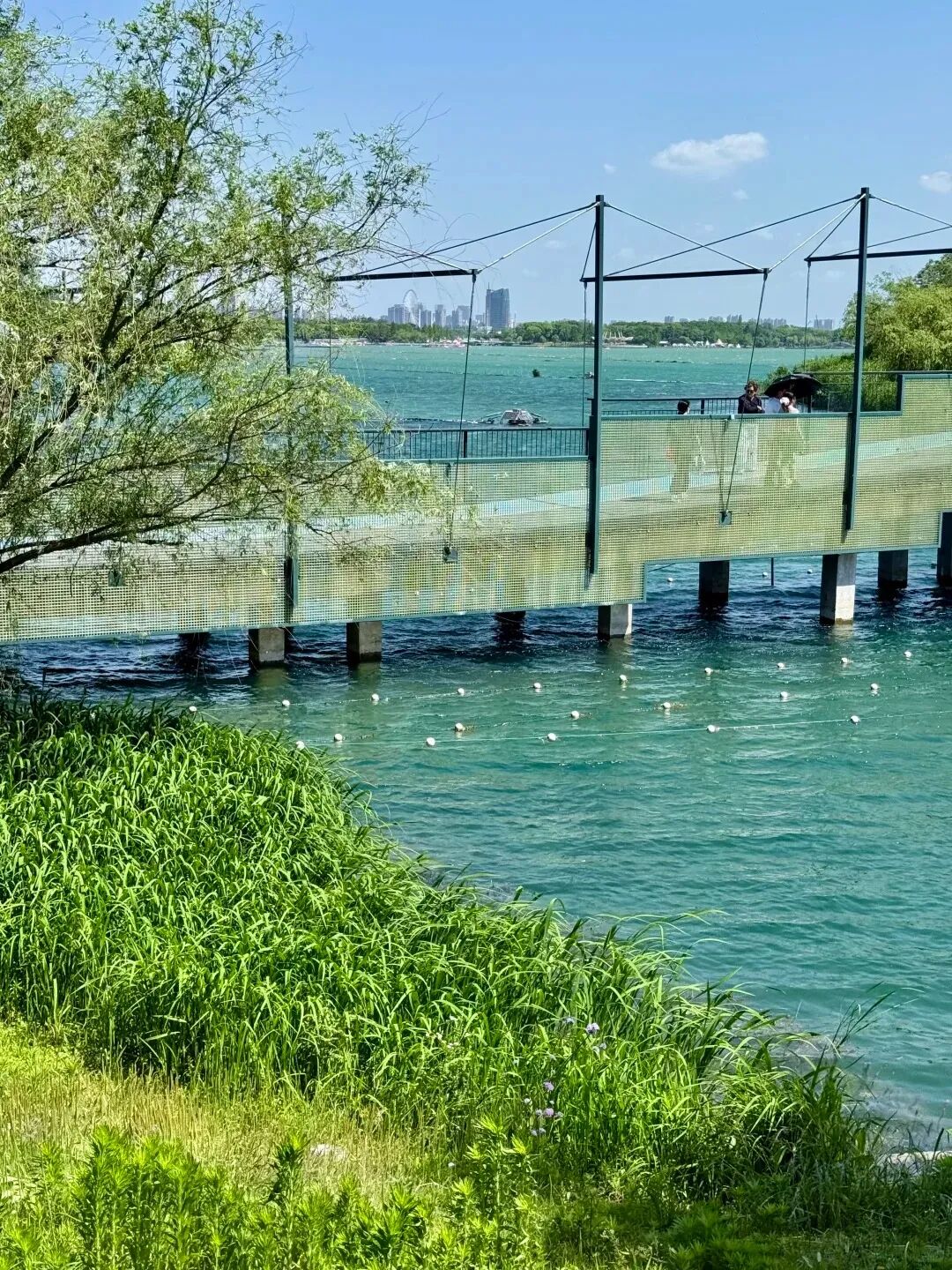 今天的蠡湖“渐变海”_9_木亘东_来自小红书网页版.jpg