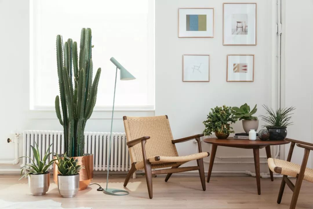 这15盏永不过时的经典灯具，象征着最好的设计的图3