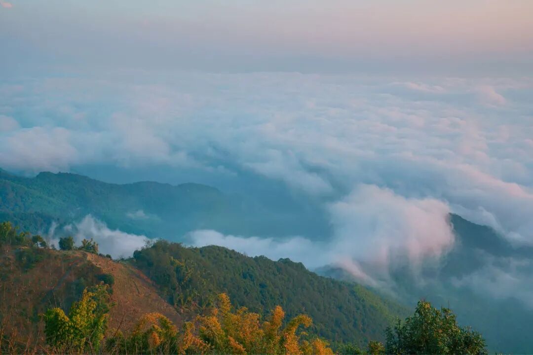【高僧传】洪州马祖道一禅师
