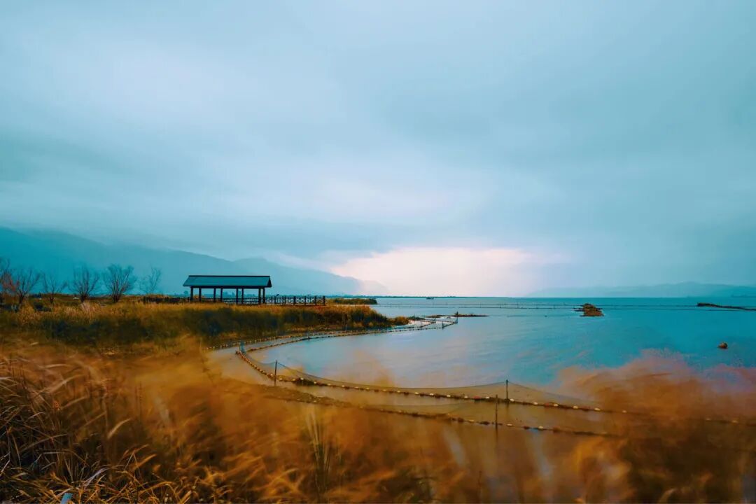 【高僧传】洪州马祖道一禅师