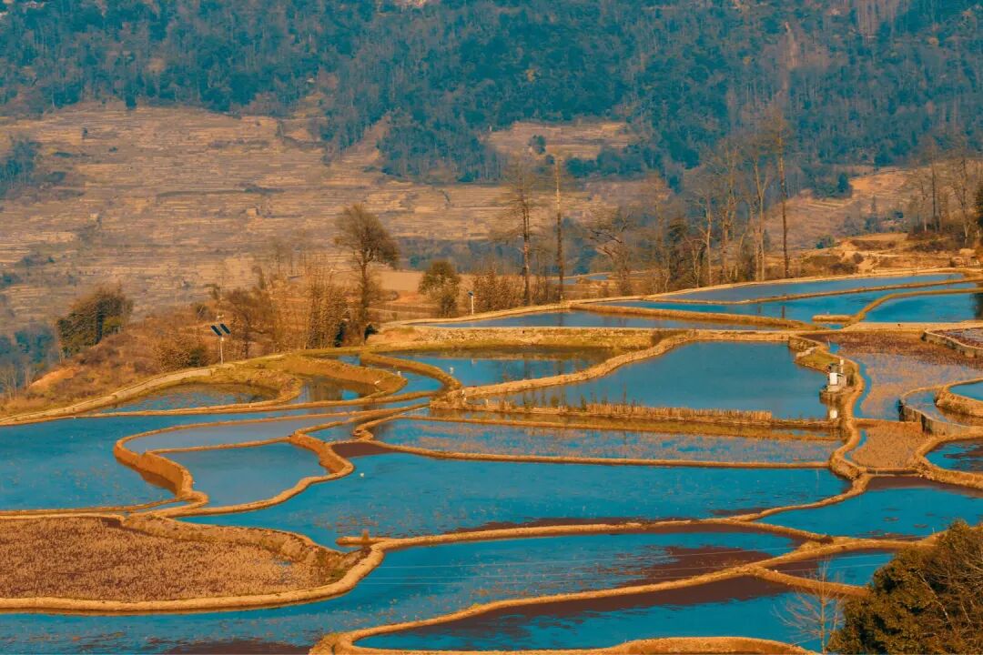 【高僧传】洪州马祖道一禅师