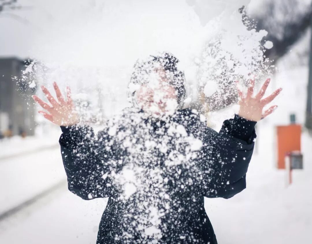 你好 北海道 自动驾驶