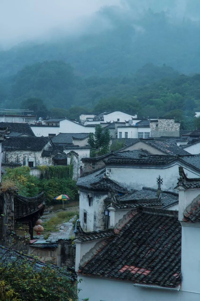 白鹭飞西塞山前白鹭飞_西塞山前白鹭飞什么流水_西塞山前白鹭飞下一句