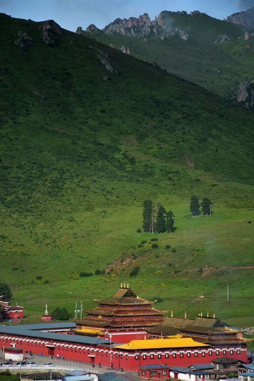 忽然，就想去甘南了。 旅遊 第8張