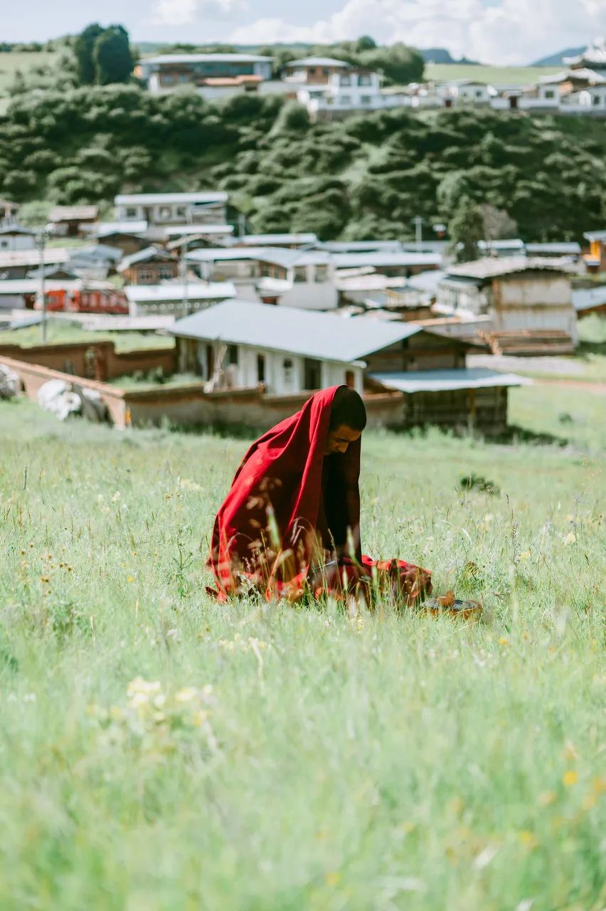 忽然，就想去甘南了。 旅遊 第1張