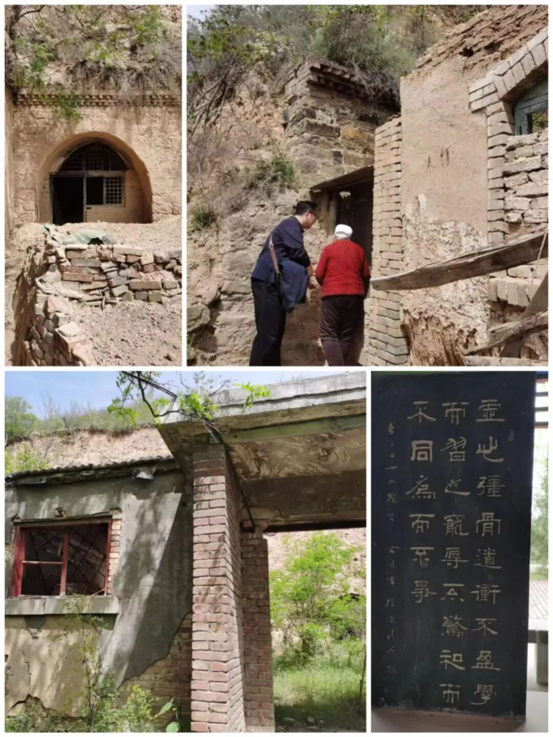 鸢尾兰_兰鸢尾花_兰鸢尾图片