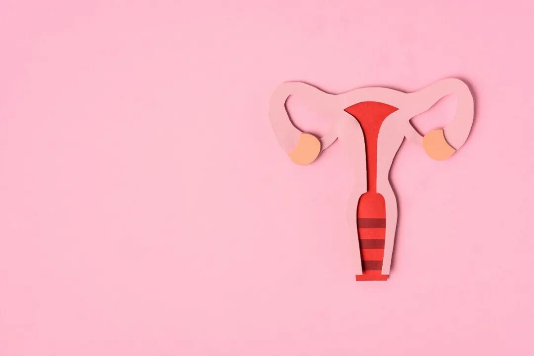 宫颈光是什么意思用于HPV感染和宫颈病变的光动力疗法是什么？_https://www.jmylbn.com_新闻资讯_第2张