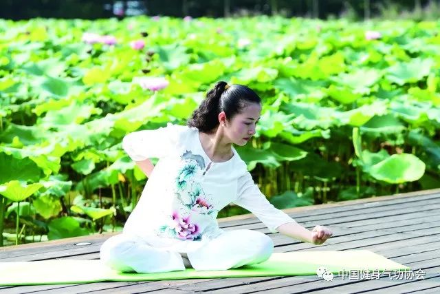 武术气功资料免费下载_健身气功八段锦的健身功效_健身气功是哪个国家的武术