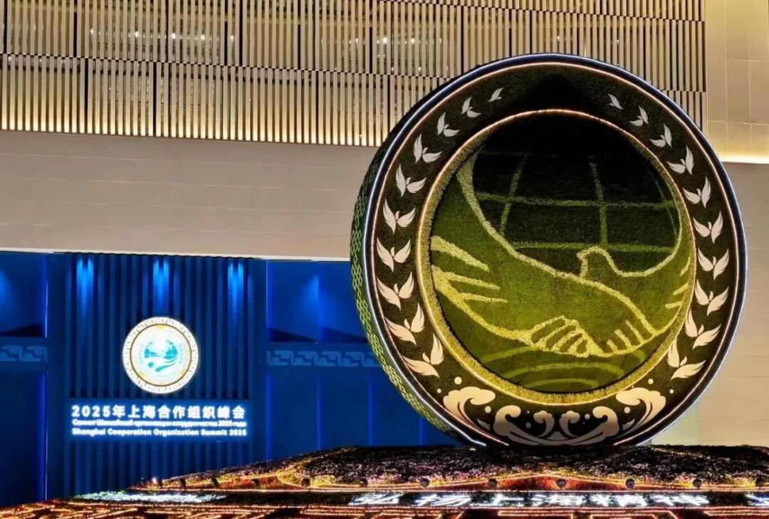 图片[2]-世界瞩目！天津闪耀！-GOGO社区