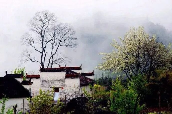 笑倾三国诸葛亮和裴笑_笑倾三国2txt下载_笑倾三国