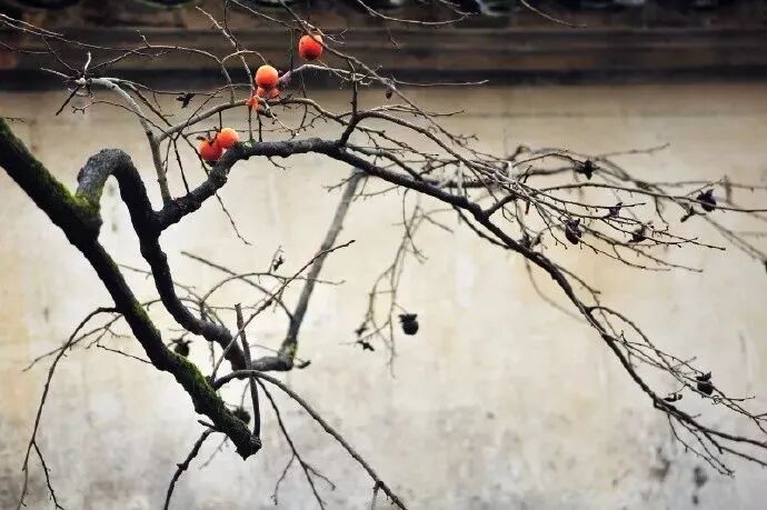 笑倾三国诸葛亮和裴笑_笑倾三国_笑倾三国2txt下载