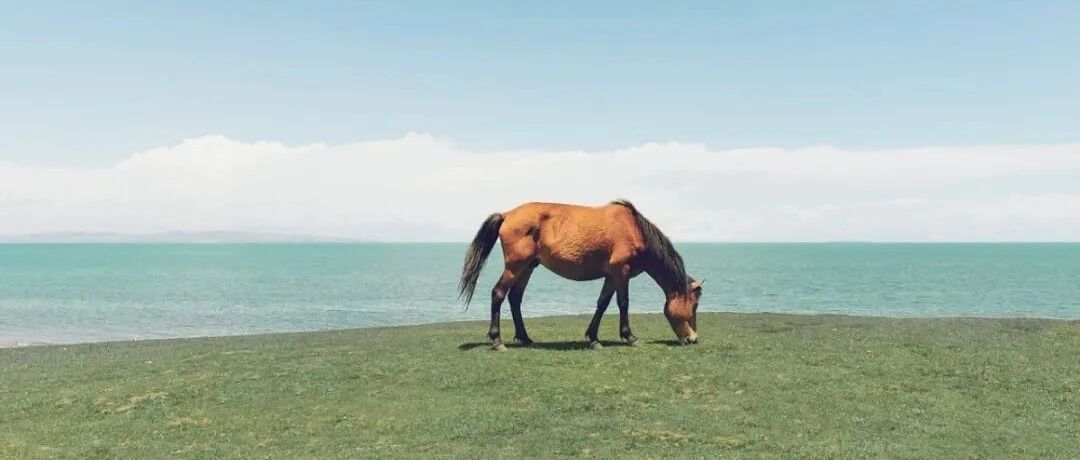 底线（经典）！