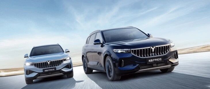 【试驾】岚图free电动版：在30万价格区间内，一款被低估的实力派 | 飞灵