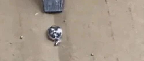 理想ONE车辆座椅有水银？创始人李想暴怒式回应：“祝愿”造谣者脑里装满汞