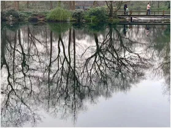 【旅游】水光潋滟、山色空蒙！冬季杭州西子如诗似画（上）| 美国贝佳天然药业