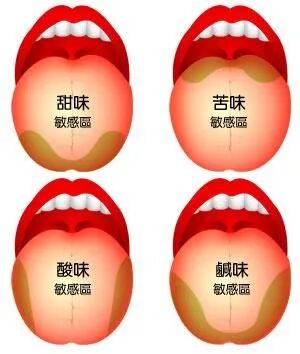 【醫療】揭秘老年人食欲不振原因，家里有老人的看过来！ | 美國貝佳天然藥業