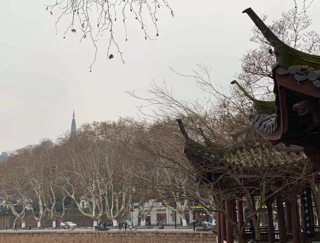 【旅游】清风拂柳，山城泽国！冬季杭州西子穿越古今（下）美國貝佳天然藥業