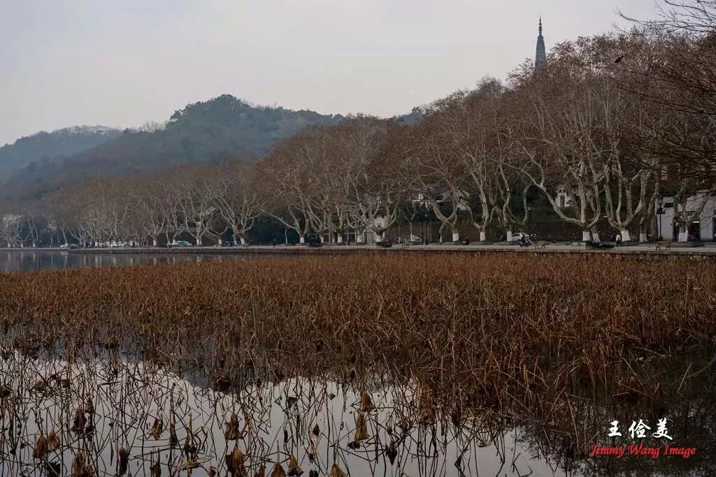 【旅游】清风拂柳，山城泽国！冬季杭州西子穿越古今（下）美國貝佳天然藥業