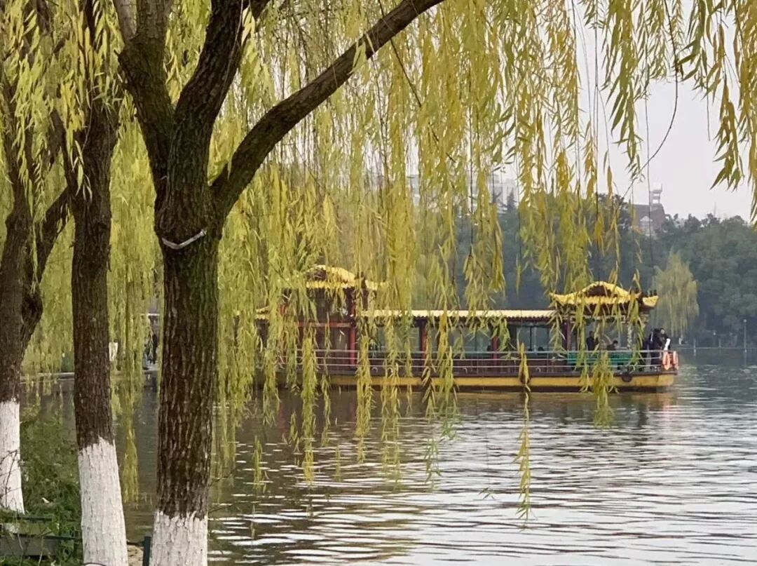 【旅游】清风拂柳，山城泽国！冬季杭州西子穿越古今（下）美國貝佳天然藥業