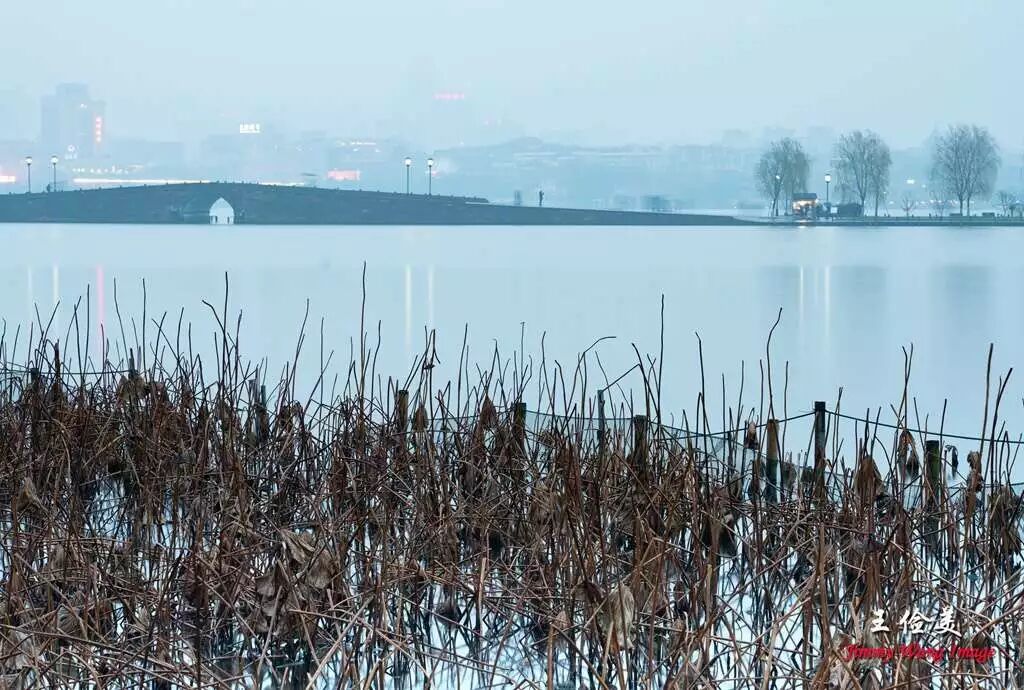 【旅游】清风拂柳，山城泽国！冬季杭州西子穿越古今（下）美國貝佳天然藥業