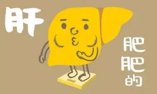 【医疗】别紧张！有了脂肪肝，调整膳食营养就可以了 | 美國貝佳天然藥業